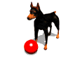 hond animéiert-biller-gif